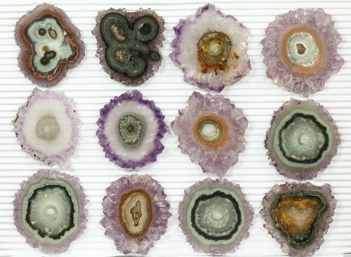 Lot: Amethyst Stalactite Slices ( Pieces) #76641